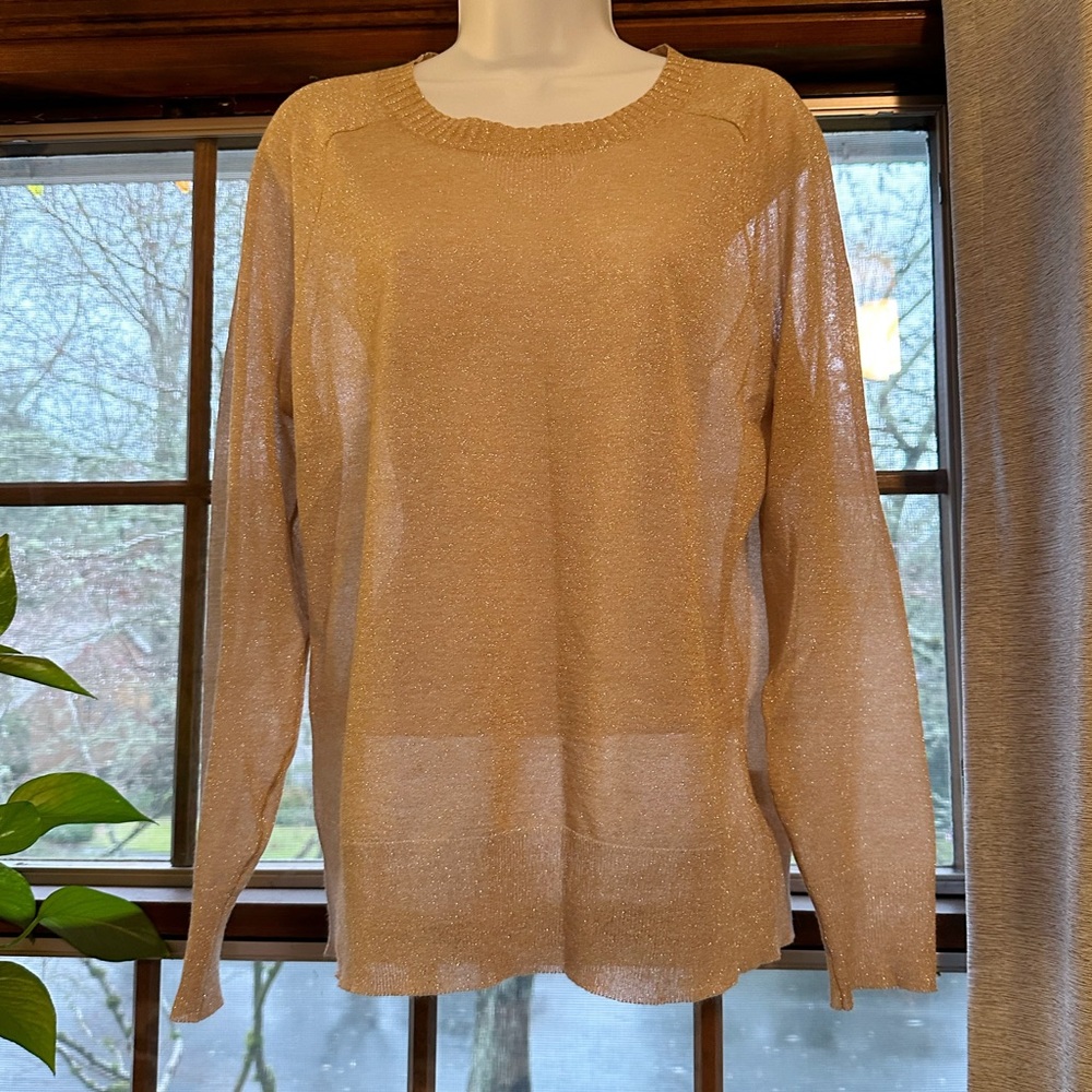 Champagne sheer glitter shirt